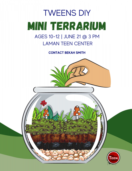 Image for event: Tween DIY: Mini Terrarium